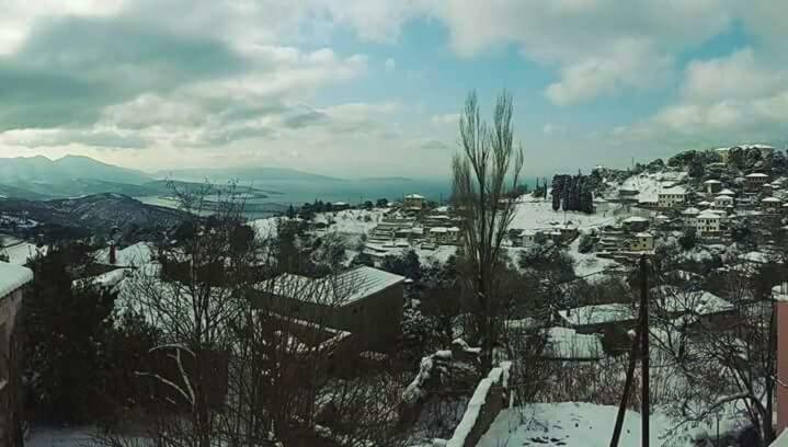 Vila Atrium - Lafkos Exteriér fotografie