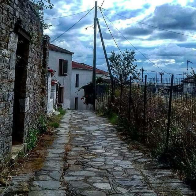 Vila Atrium - Lafkos Exteriér fotografie